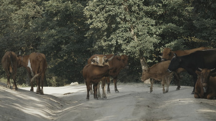 Similar image 22406960