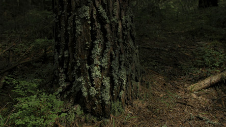 Similar image 22407185