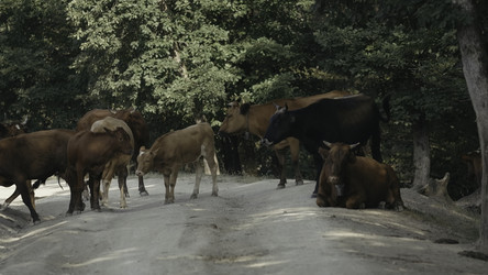 Similar image 22407200