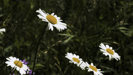 Similar image 22407216