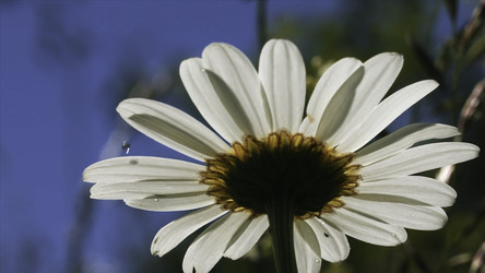 Similar image 22407261