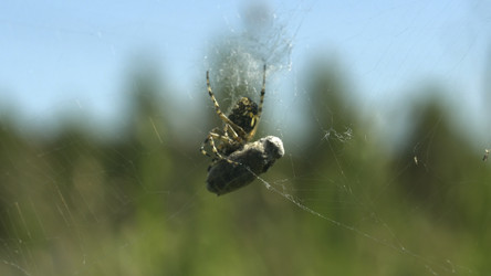 Similar image 22407408