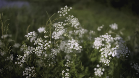 Similar image 22407482