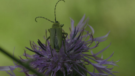 Similar image 22407530