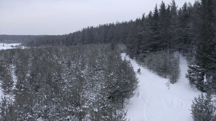 Similar image 22407576