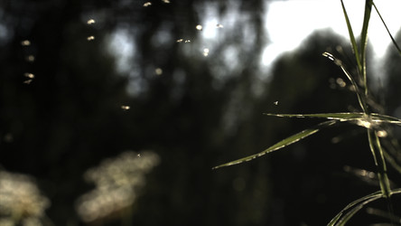 Similar image 22436258