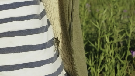 Similar image 22436259