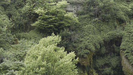 Similar image 22443607