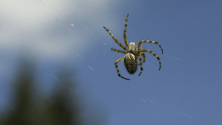 Similar image 22443608