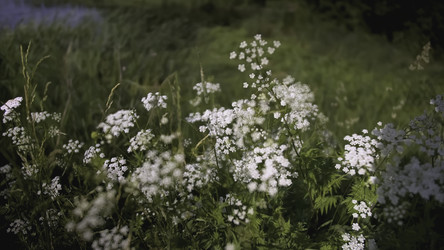 Similar image 22443611