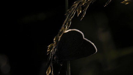 Similar image 22443614