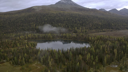 Similar image 22443618