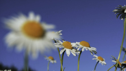 Similar image 22448379