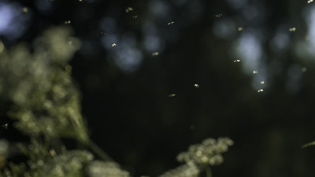 Similar image 22448380