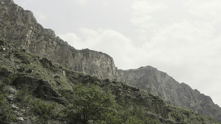 Similar image 22448384