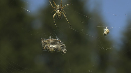 Similar image 22448385