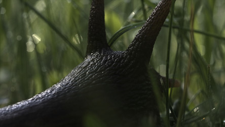 Similar image 22448395