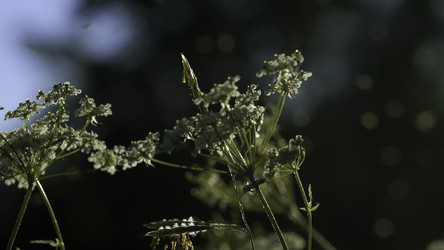 Similar image 22448396