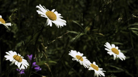 Similar image 22448398