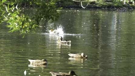 Similar image 22448404