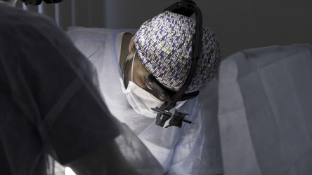 Similar image 22453254