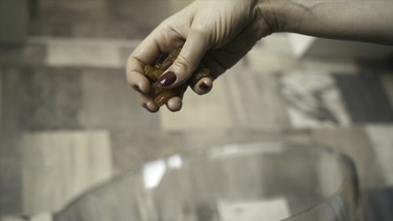 Similar image 22453266