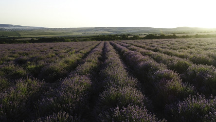 Similar image 22405179