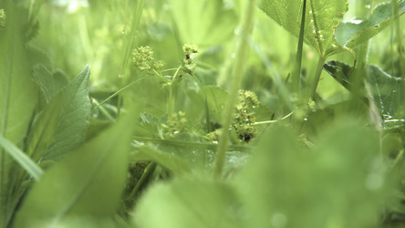 Similar image 22405193