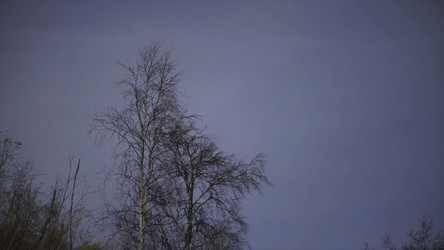 Similar image 22406329