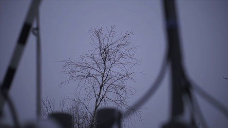 Similar image 22406930