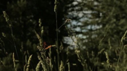 Similar image 22443620