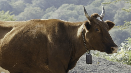 Similar image 22443623