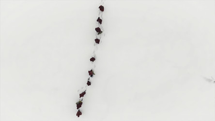 Similar image 22453268