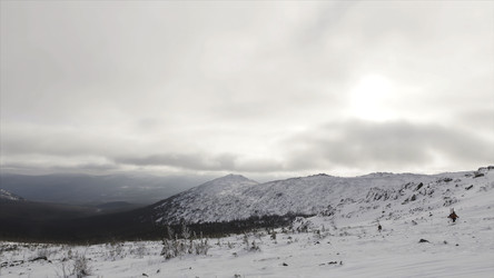 Similar image 22453269