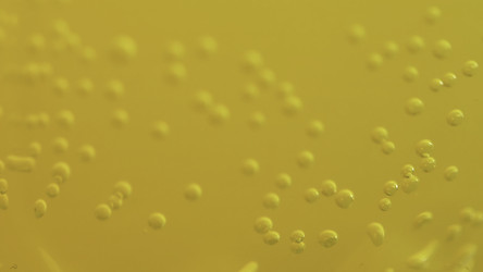 Similar image 22469894