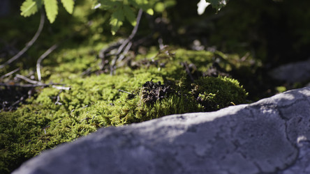 Similar image 22405120