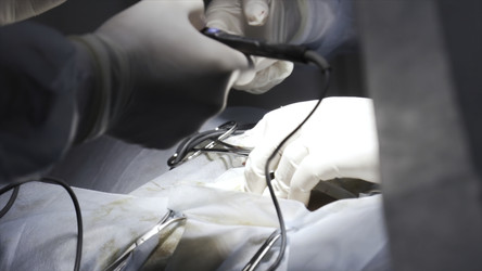 Similar image 22405347