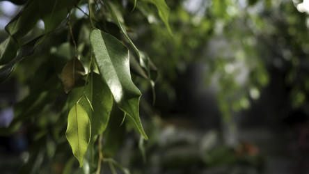 Similar image 22405406