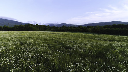 Similar image 22405407