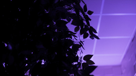 Similar image 22405451