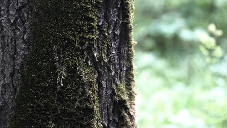 Similar image 22406433