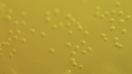 Similar image 22407097