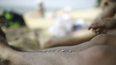 Similar image 22407172