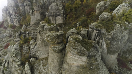 Similar image 22407305