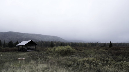 Similar image 22436268