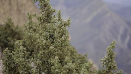 Similar image 22436269