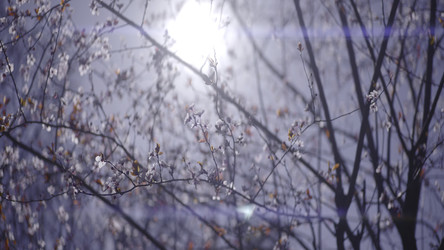 Similar image 22443626