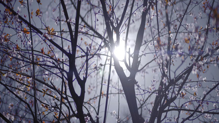 Similar image 22443632