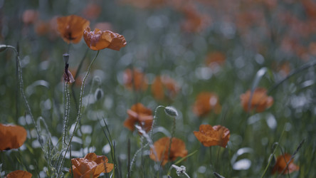 Similar image 22453159