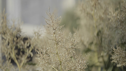 Similar image 22453173